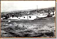 Свиноферма в селе Александровке